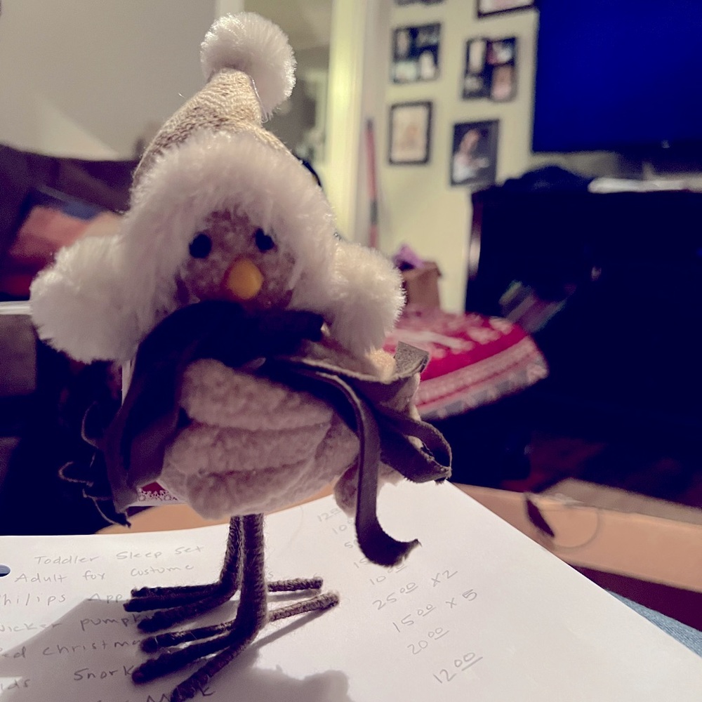 Christmas decor Standing Bird